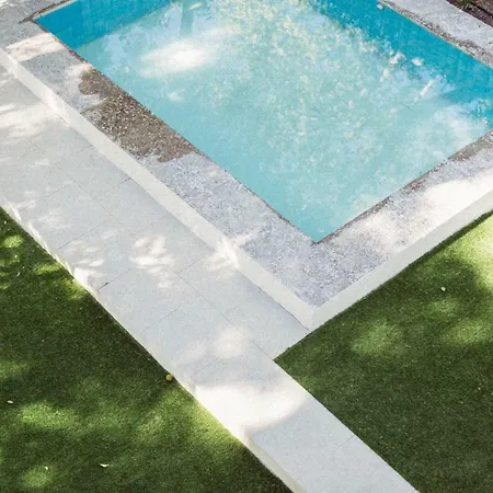 Minty - Palmera Seville